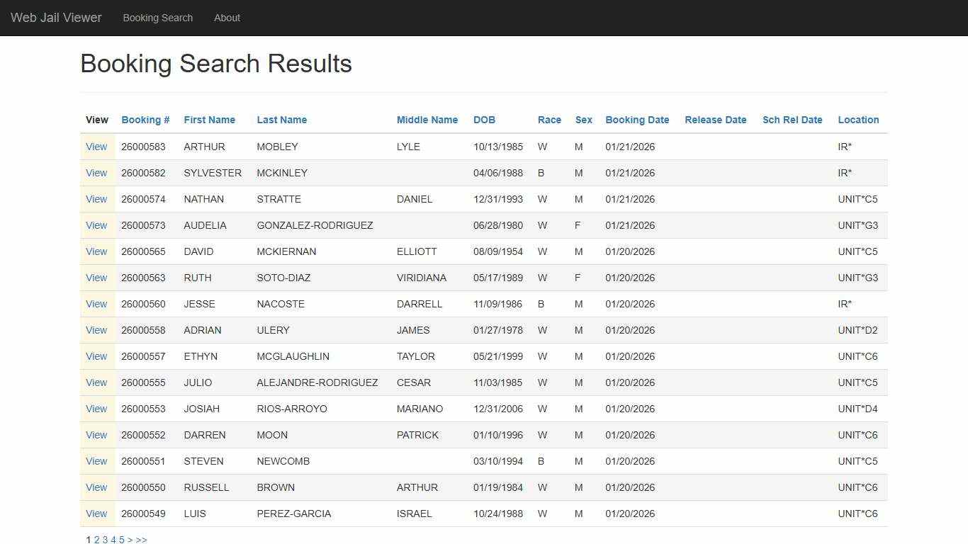 BookingSearchDetail - Web Jail Viewer